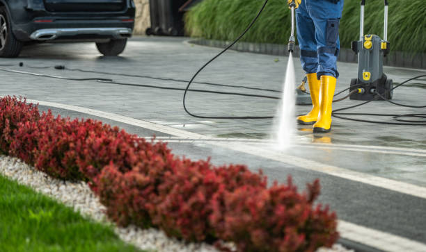 Best Solar Panel Cleaning  in Georgetown, SC